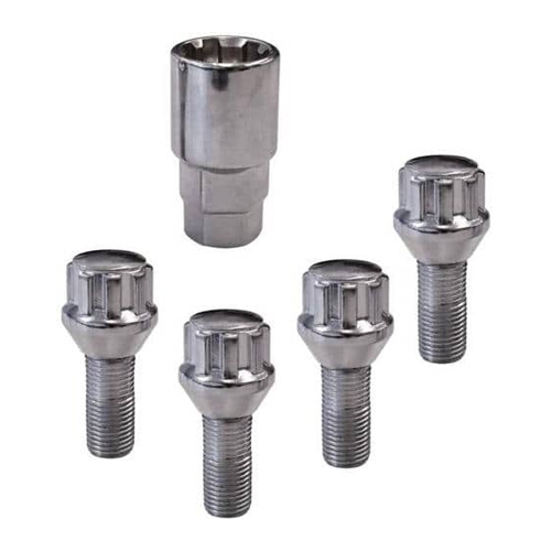 Bulones y Tuercas Antirrobo