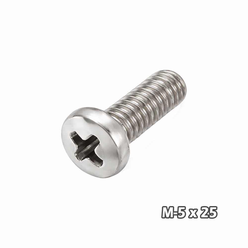 Torn Phill c/fijad Zinc M5 x 25