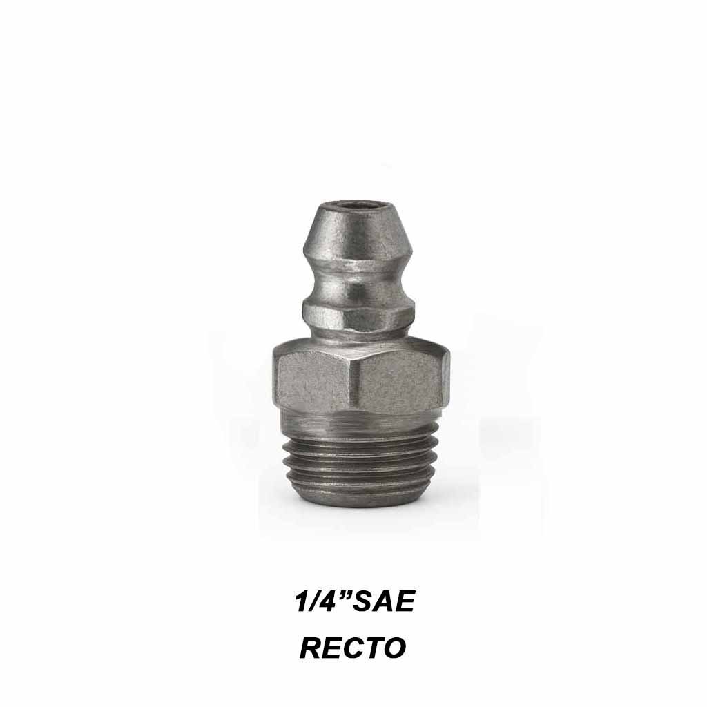 Alemite 1/4 sae recto