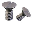 Tornillo Fresada Phillips Inoxidable M5 x 25